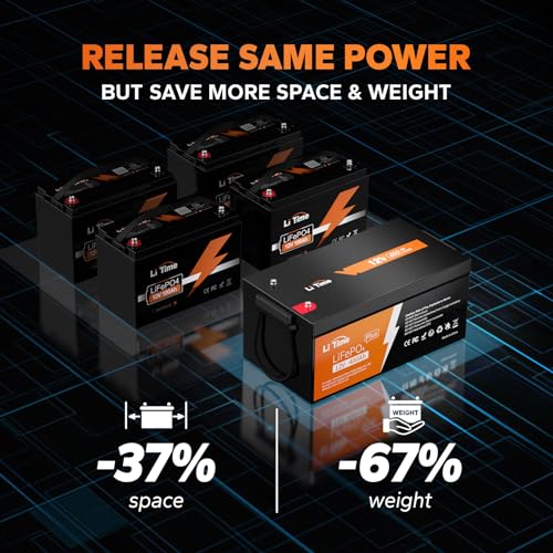 12V 100Ah LiFePO4 Battery with Built-in 100A BMS D2856