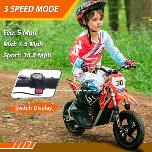 Electric Dirt Bike for Kids Aged 4-8, 350W Brushless Motor, 14'' Off-Road Tires, Blue Y255