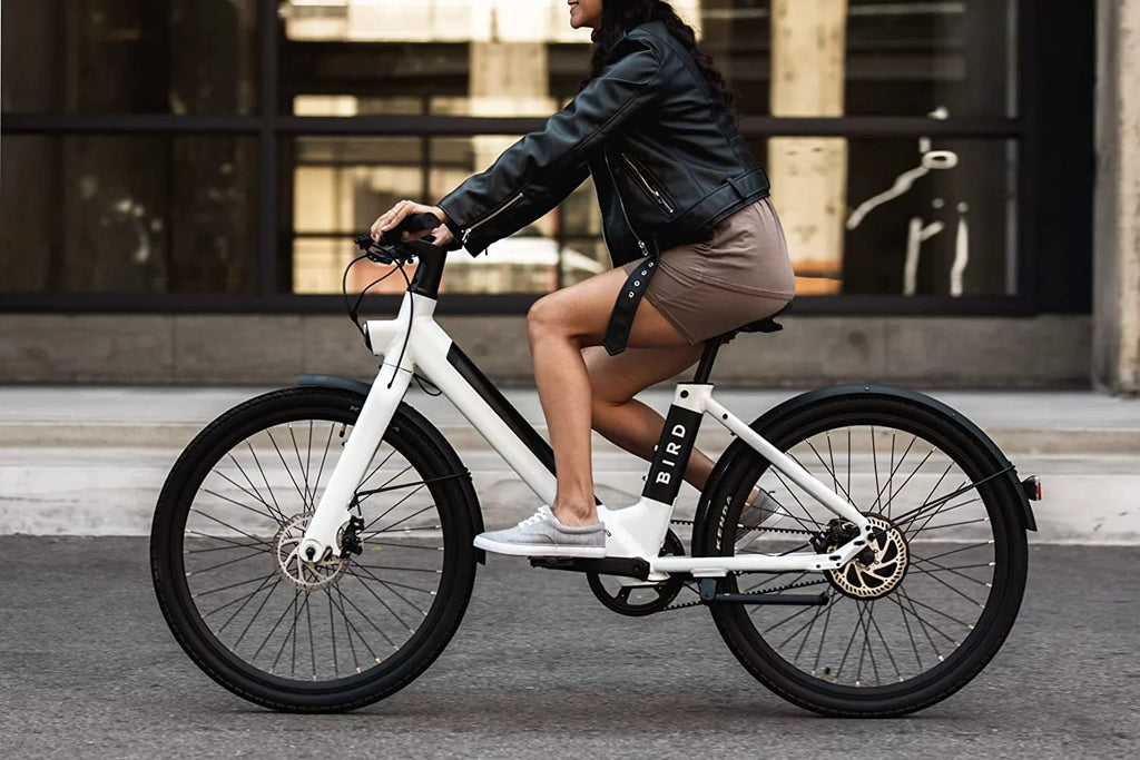 Electric Bike, 500W Motor, 50mi Range, 20mph Speed P20734
