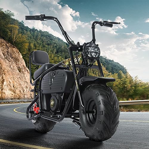 Electric Mini Bike for Kids, 36V Battery, 1000W Motor, 2 Speeds S644