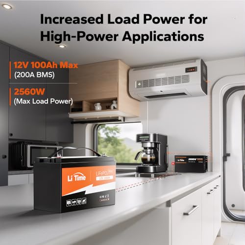 12V 100Ah LiFePO4 Battery with Built-in 100A BMS D2856