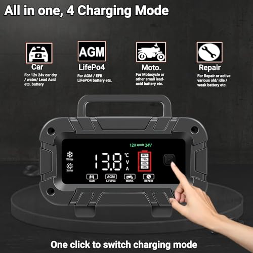 12V 24V 20A LiFePO4 Lead Acid Battery Charger & Maintainer M2931