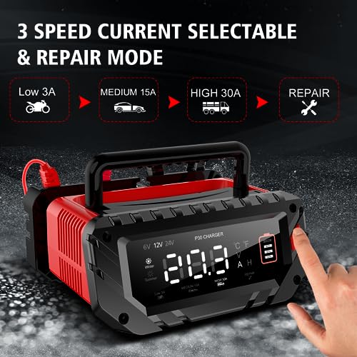20 Amp Lithium Battery Charger, 12V and 24V LiFePO4, Lead-Acid Portable Car Battery Charger A814524