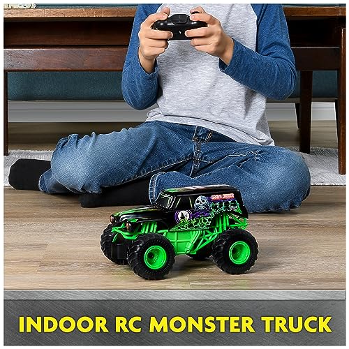 Remote Control Monster Truck, 1:24 Scale, 2.4 GHz D8943