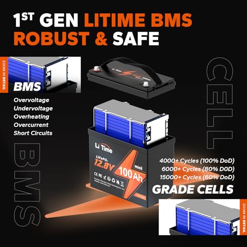 12V 100Ah LiFePO4 Battery with Built-in 100A BMS D2856