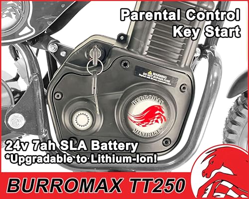 Electric Dirt Bike for Kids, 250W, 14 Mph, Off-Road Mini Bike M625363