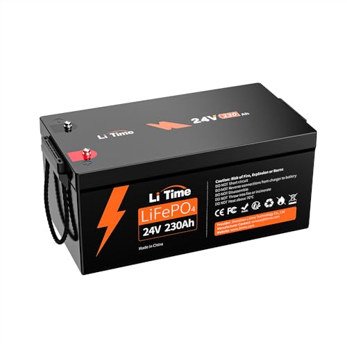 12V 100Ah LiFePO4 Battery with Built-in 100A BMS D2856