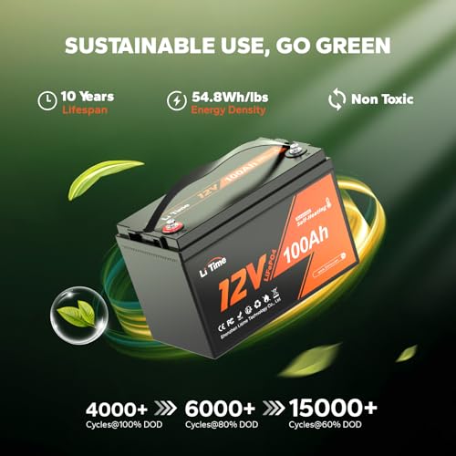 12V 100Ah LiFePO4 Battery with Built-in 100A BMS D2856