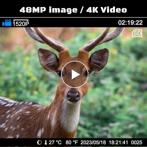 4K 48MP Trail Camera with Night Vision and Motion Activation I8624