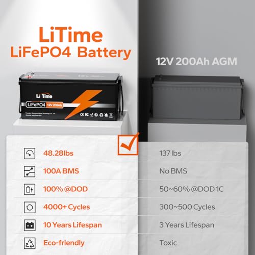 12V 100Ah LiFePO4 Battery with Built-in 100A BMS D2856