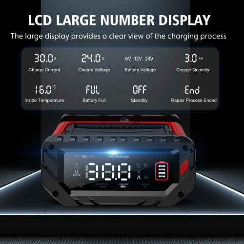 20 Amp Lithium Battery Charger, 12V and 24V LiFePO4, Lead-Acid Portable Car Battery Charger A814524