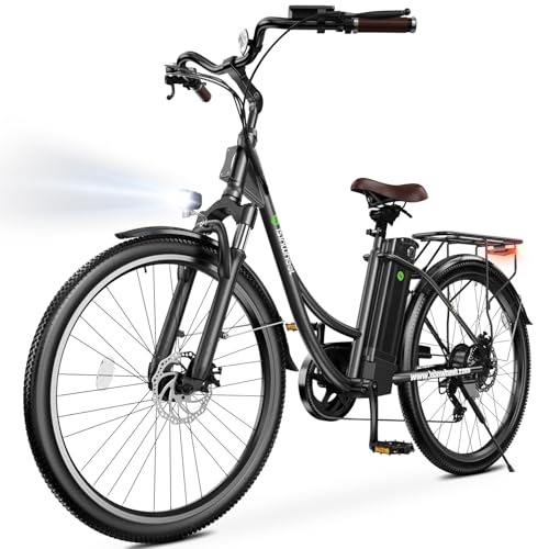 Electric Bike for Adults 750W 28mph with Removable Battery and Fat Tire W3858