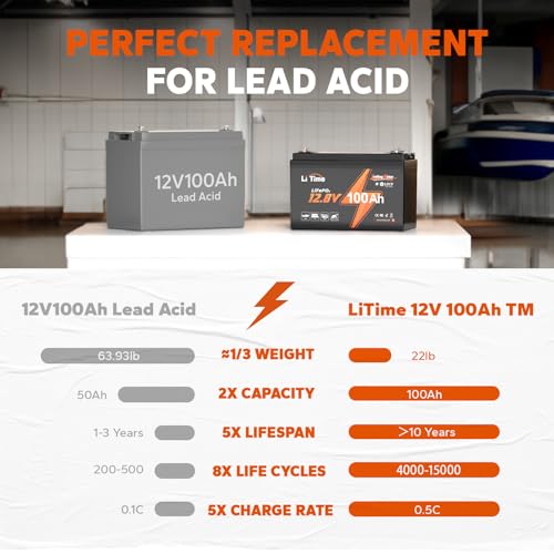 12V 100Ah LiFePO4 Battery with Built-in 100A BMS D2856