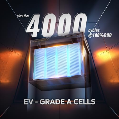 12V 100Ah LiFePO4 Battery with Built-in 100A BMS D2856
