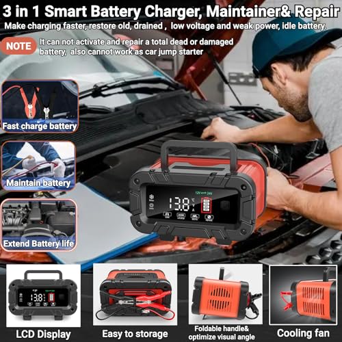 12V 24V 20A LiFePO4 Lead Acid Battery Charger & Maintainer M2931