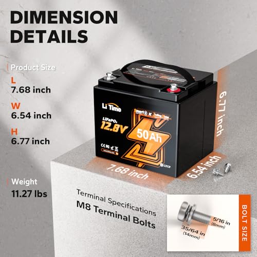 12V 100Ah LiFePO4 Battery with Built-in 100A BMS D2856