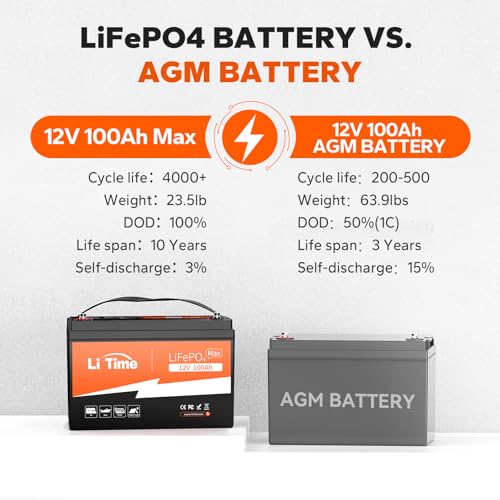 12V 100Ah LiFePO4 Battery with Built-in 100A BMS D2856