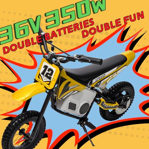 Electric Dirt Bike for Kids 8-14, 36V 350W, Off-Road Motorcycle I642