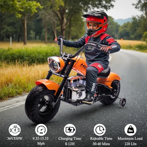 Electric Dirt Bike for Kids 14+, 360W Motor, 15.5 MPH, Gray Q330721