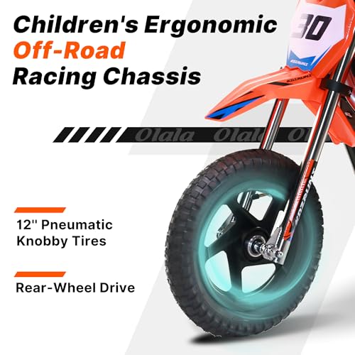 Electric Dirt Bike for Kids Aged 4-8, 350W Brushless Motor, 14'' Off-Road Tires, Blue Y255
