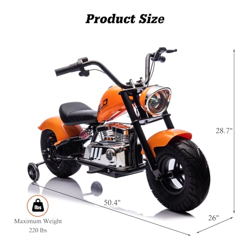 Electric Dirt Bike for Kids 14+, 360W Motor, 15.5 MPH, Gray Q330721