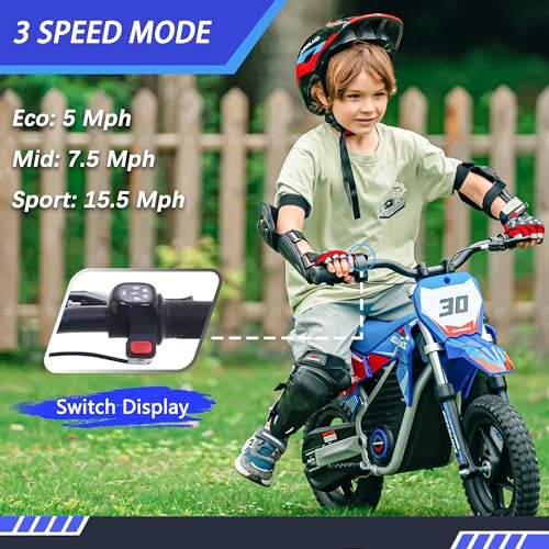 Electric Dirt Bike for Kids Aged 4-8, 350W Brushless Motor, 14'' Off-Road Tires, Blue Y255