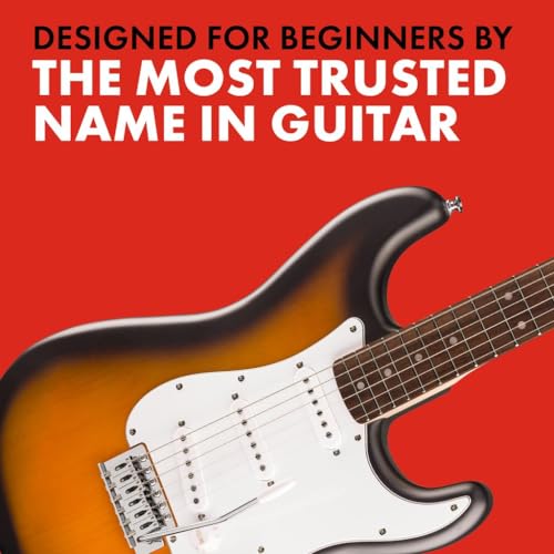 Electric Guitar for Beginners, Black Matte Finish V2002