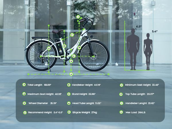 Electric Bike for Adults 750W 28mph with Removable Battery and Fat Tire W3858