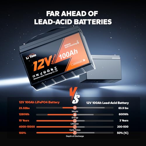 12V 100Ah LiFePO4 Battery with Built-in 100A BMS D2856