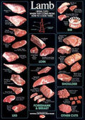 Lamb Cuts Cuts Of Meat Chart Poster 24x36 24inx36in Poster 24x36 Multi-Color Square Adults Z Posters