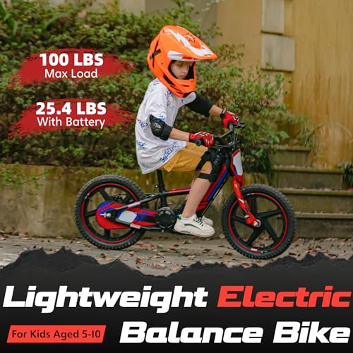 Electric Dirt Bike for Kids Aged 3-6, 170W Motor, 24V Battery, 12IN Tires J8048
