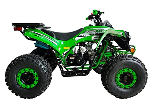 125cc ATV Fully Automatic with Reverse Double Headlights LED Gas 4 Wheeler U53754