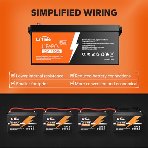 12V 100Ah LiFePO4 Battery with Built-in 100A BMS D2856