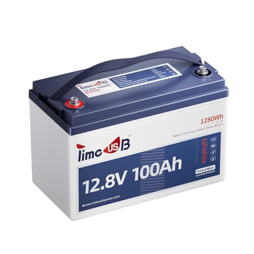 12V 100Ah LiFePO4 Marine Battery with Low-Temp Protection and 100A BMS J24276