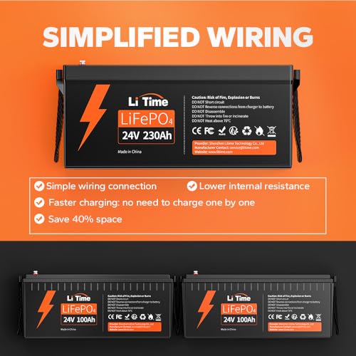 12V 100Ah LiFePO4 Battery with Built-in 100A BMS D2856