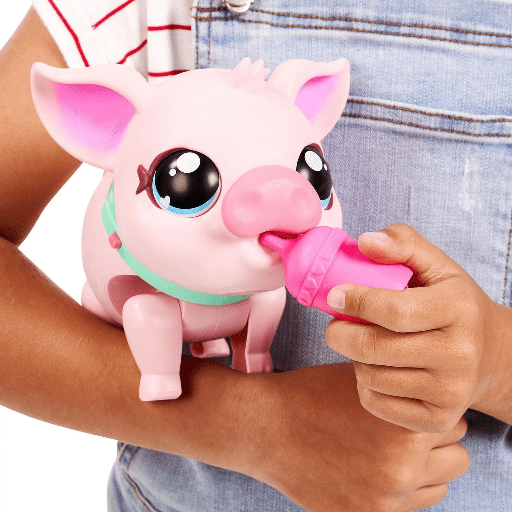 My Pet Pig K761854