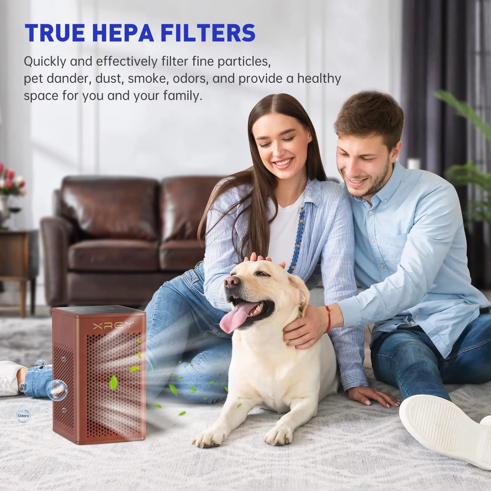 Wooden Air Purifier for Home Large Room, H13 True HEPA Filter, Ultra-Quiet C158625
