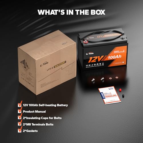 12V 100Ah LiFePO4 Battery with Built-in 100A BMS D2856