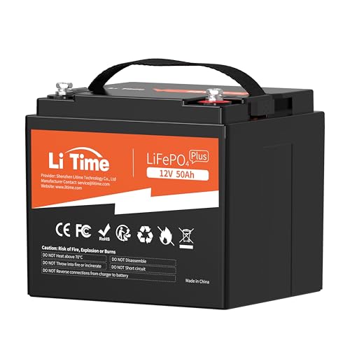 12V 100Ah LiFePO4 Battery with Built-in 100A BMS D2856