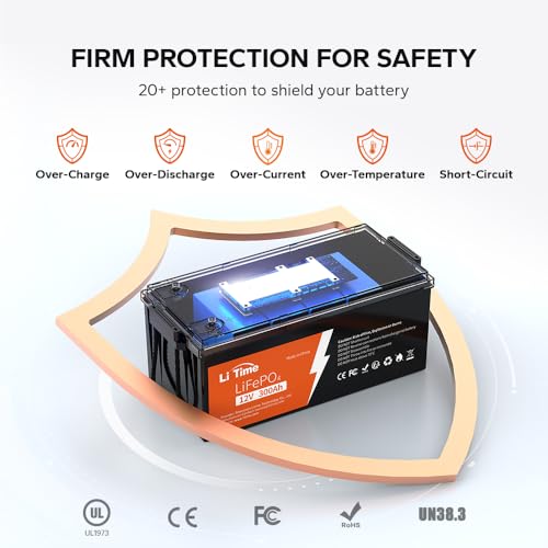 12V 100Ah LiFePO4 Battery with Built-in 100A BMS D2856