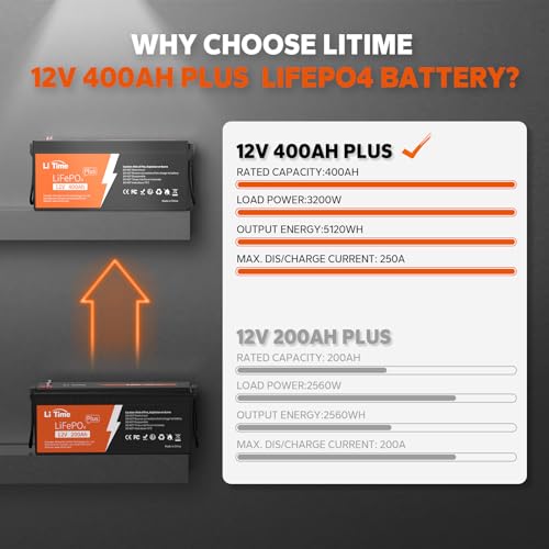 12V 100Ah LiFePO4 Battery with Built-in 100A BMS D2856