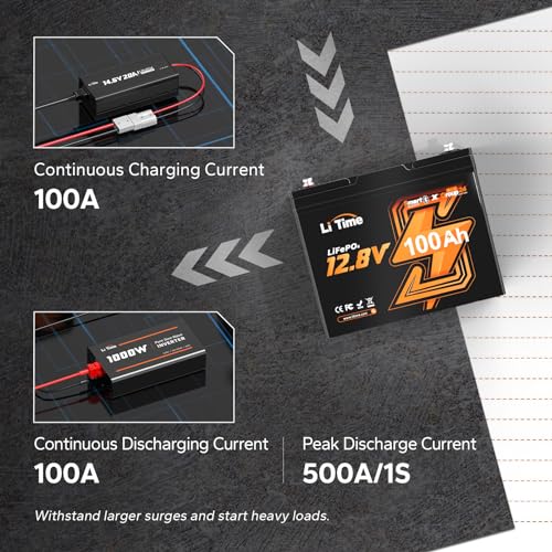 12V 100Ah LiFePO4 Battery with Built-in 100A BMS D2856