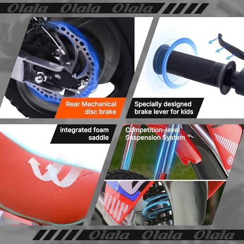 Electric Dirt Bike for Kids Aged 4-8, 350W Brushless Motor, 14'' Off-Road Tires, Blue Y255