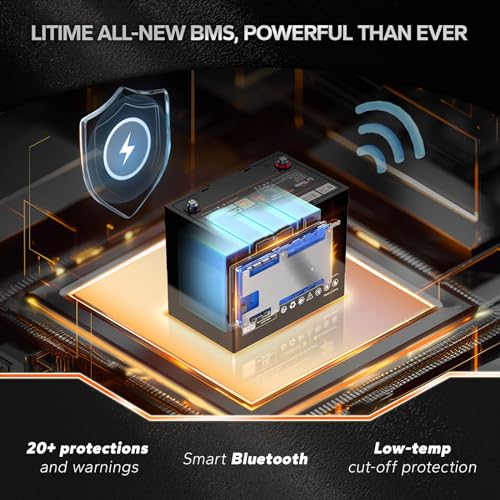 12V 100Ah LiFePO4 Battery with Built-in 100A BMS D2856