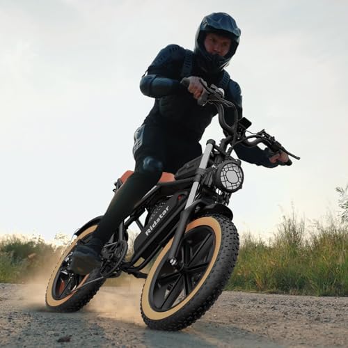 Electric Bike for Adults, 2000W, 52V 40AH, 20" Fat Tire, All Terrain U409