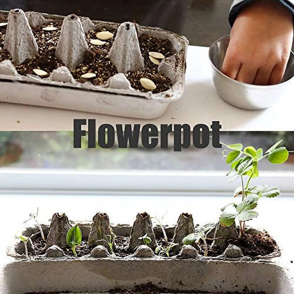 Printed Pulp Egg Cartons - Large Egg Storage Tray, Holds 1 Dozen F5865