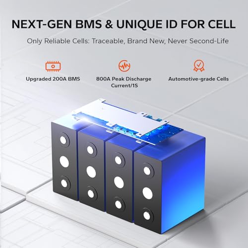 12V 100Ah LiFePO4 Battery with Built-in 100A BMS D2856