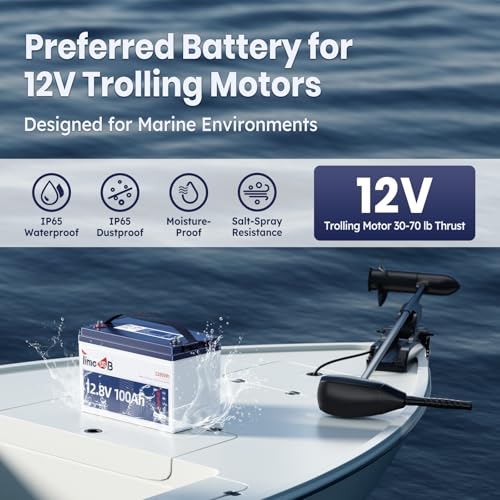 12V 100Ah LiFePO4 Marine Battery with Low-Temp Protection and 100A BMS J24276