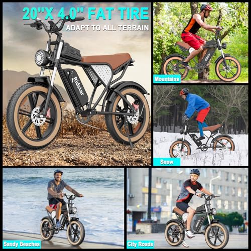 Electric Bike for Adults, 2000W, 52V 40AH, 20" Fat Tire, All Terrain U409