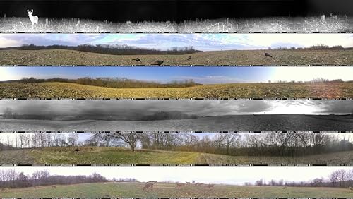 Hunting Cellular Trail Camera 36MP 1080P HD Video 360-Degree View B10817